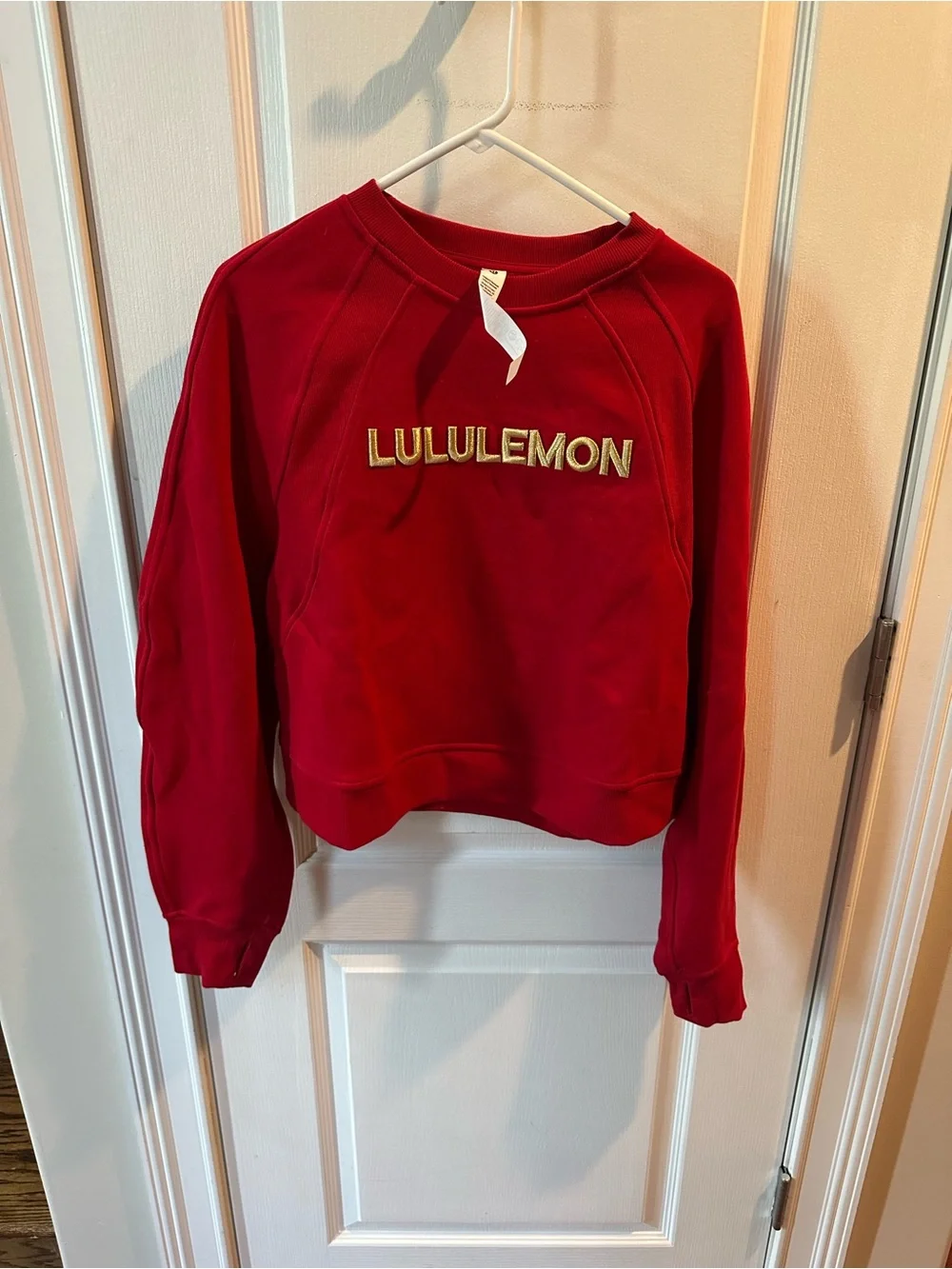 lululemon Lunar New Year Scuba Oversized Pullover